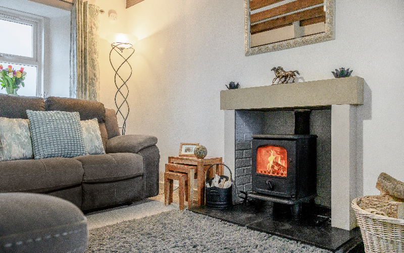 birdsnesthome birdsnesthome